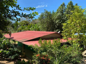 Casa Limon